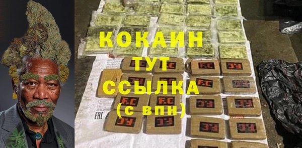 ПСИЛОЦИБИНОВЫЕ ГРИБЫ Няндома