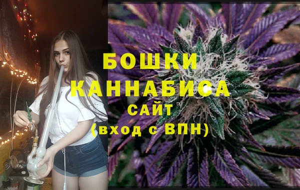 ПСИЛОЦИБИНОВЫЕ ГРИБЫ Няндома